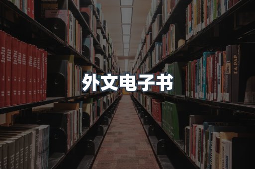 外文电子书